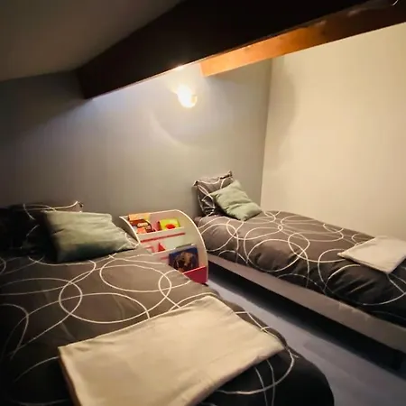 Les Bleuets Futuroscope Maison 4 Personnes 沙斯讷伊迪普瓦图